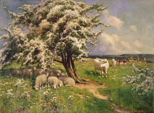 Moutons et bovins dans un paysage